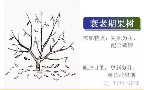 640 (3).jpg 640 (3).jpg