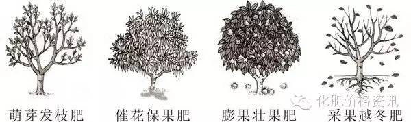 640 (4).jpg 640 (4).jpg