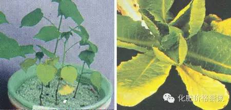 640 (1).jpg 640 (1).jpg