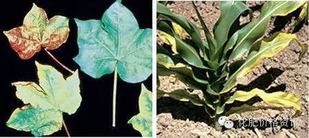 640 (1).jpg 640 (1).jpg