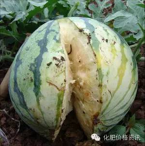 640 (1).jpg 640 (1).jpg