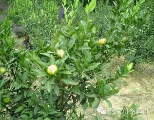 640 (4).jpg 640 (4).jpg